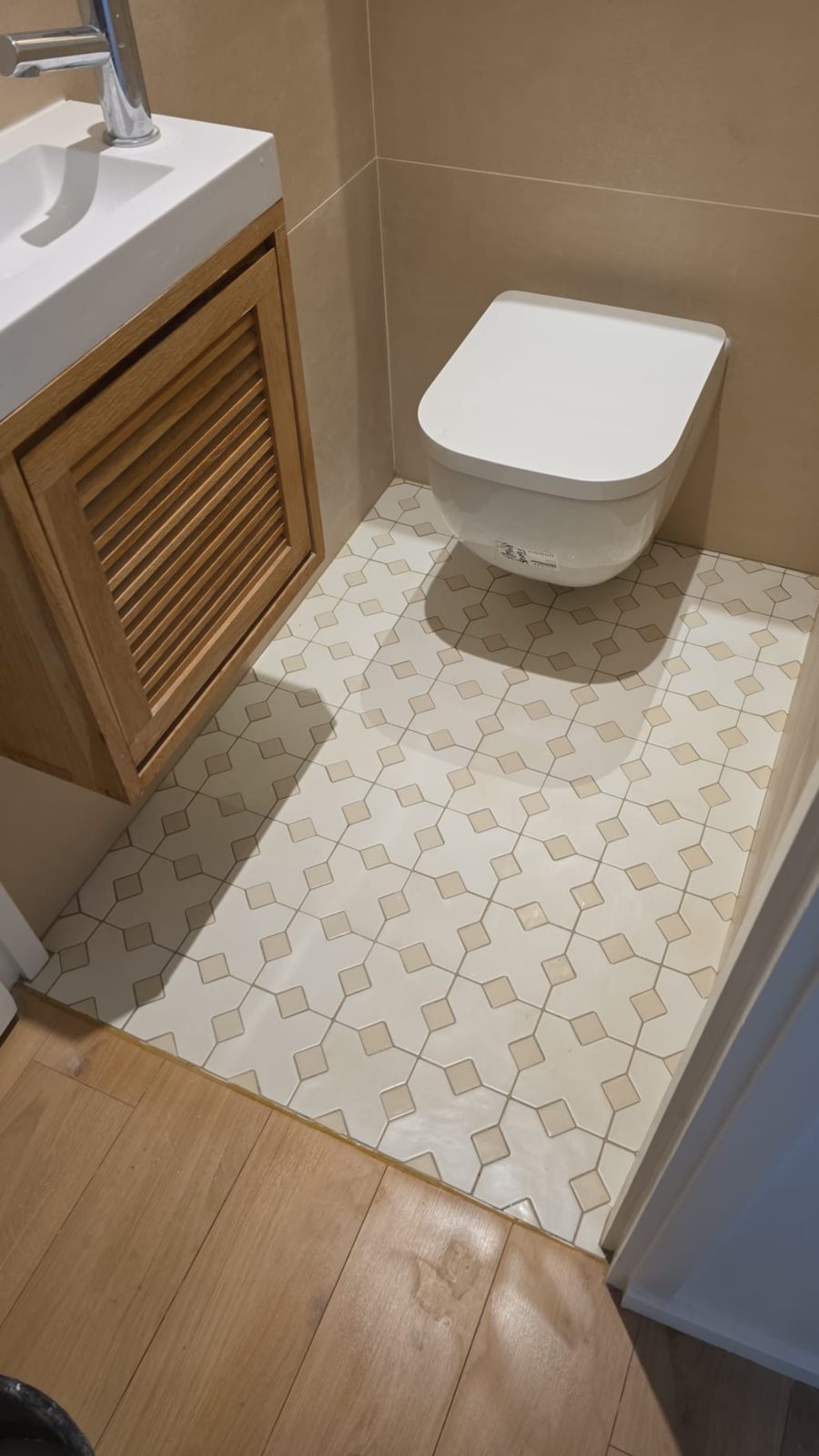 Toilettes à Meyzieu — sol à motifs et raccord effet bois, réalisé par Mereu Ceram